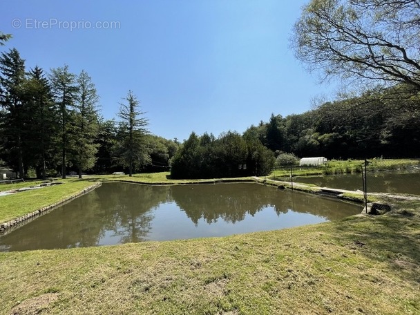 Maison à LE PALAIS-SUR-VIENNE