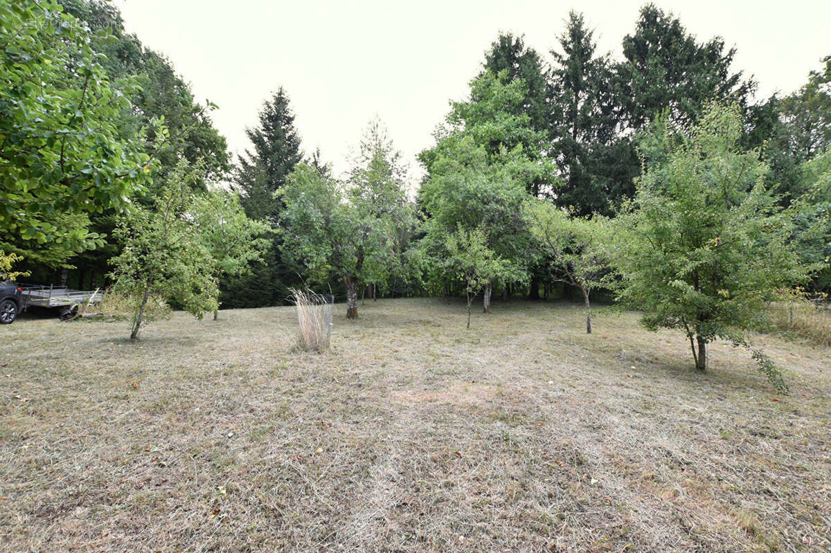 Maison Epeugney 5 pièces sur 3341 m² de terrain - photo 3