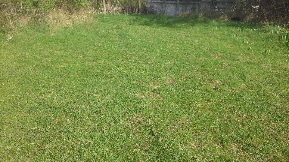 Terrain à OLLAINVILLE