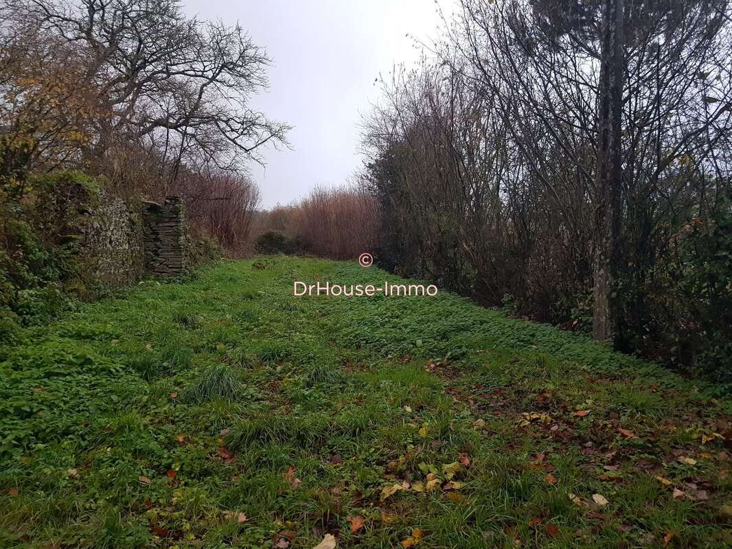 Terrain à ANCTOVILLE