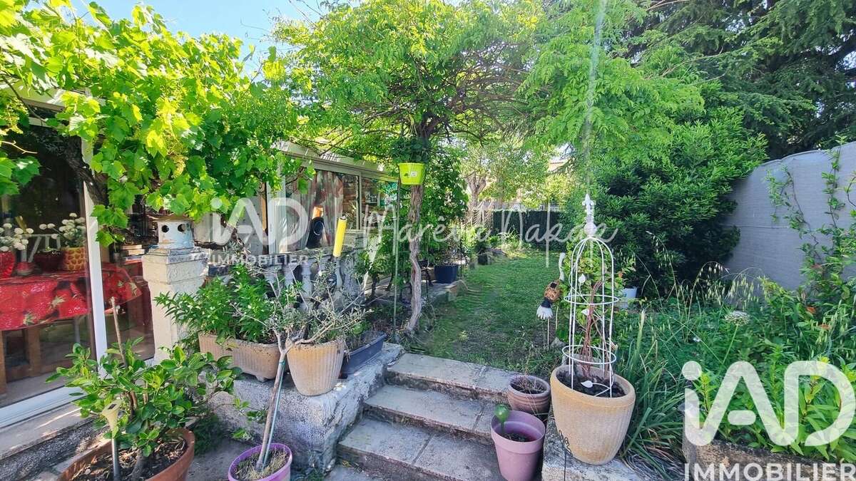 Photo 3 - Maison à MONTAUROUX