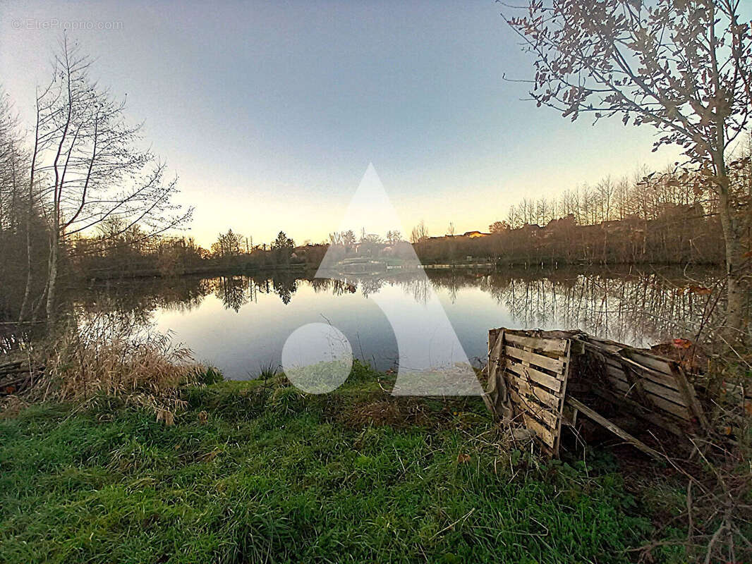 Terrain à BERLAIMONT