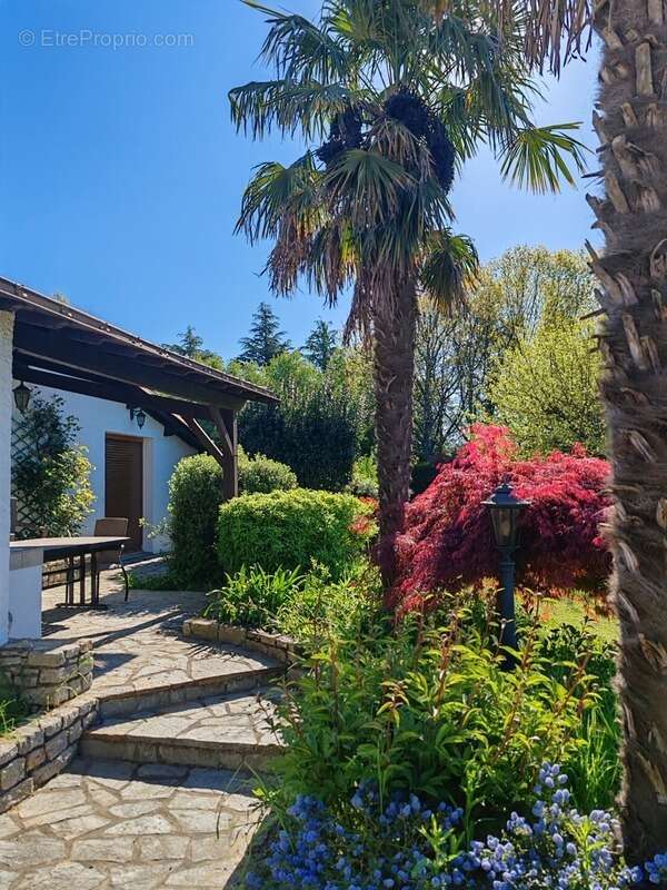 Propriete à vendre 12 pièces L'OIE (85) - photo 3