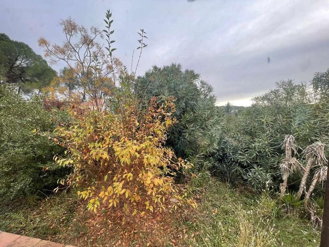 Maison à SAINT-GELY-DU-FESC