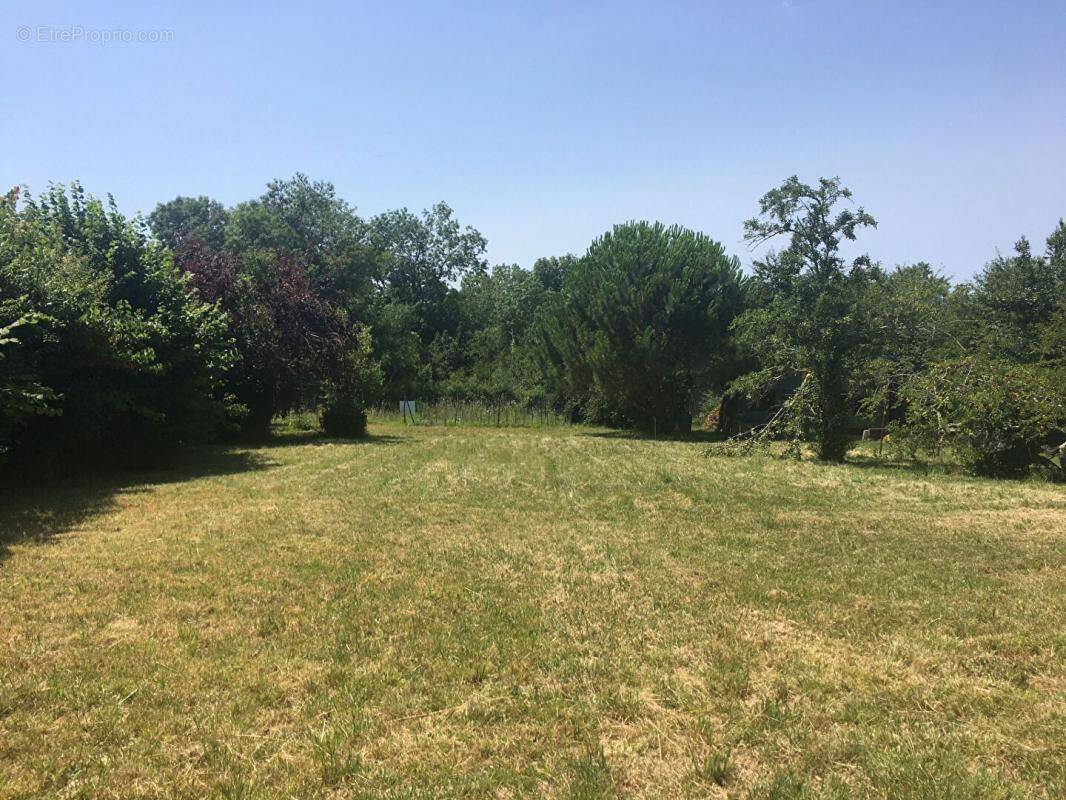 Terrain à SAINT-LOUBES