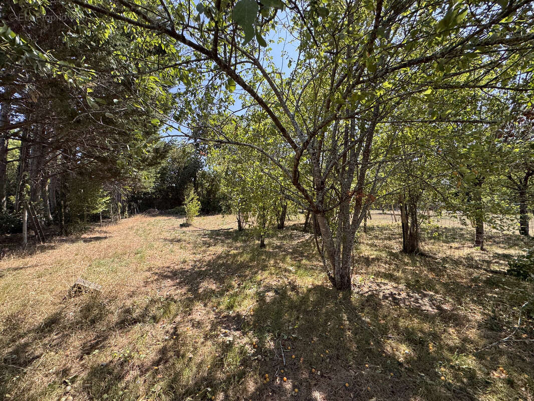 Maison de village avec jardin proche rivière - photo 6
