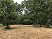 Terrain à PRIGONRIEUX