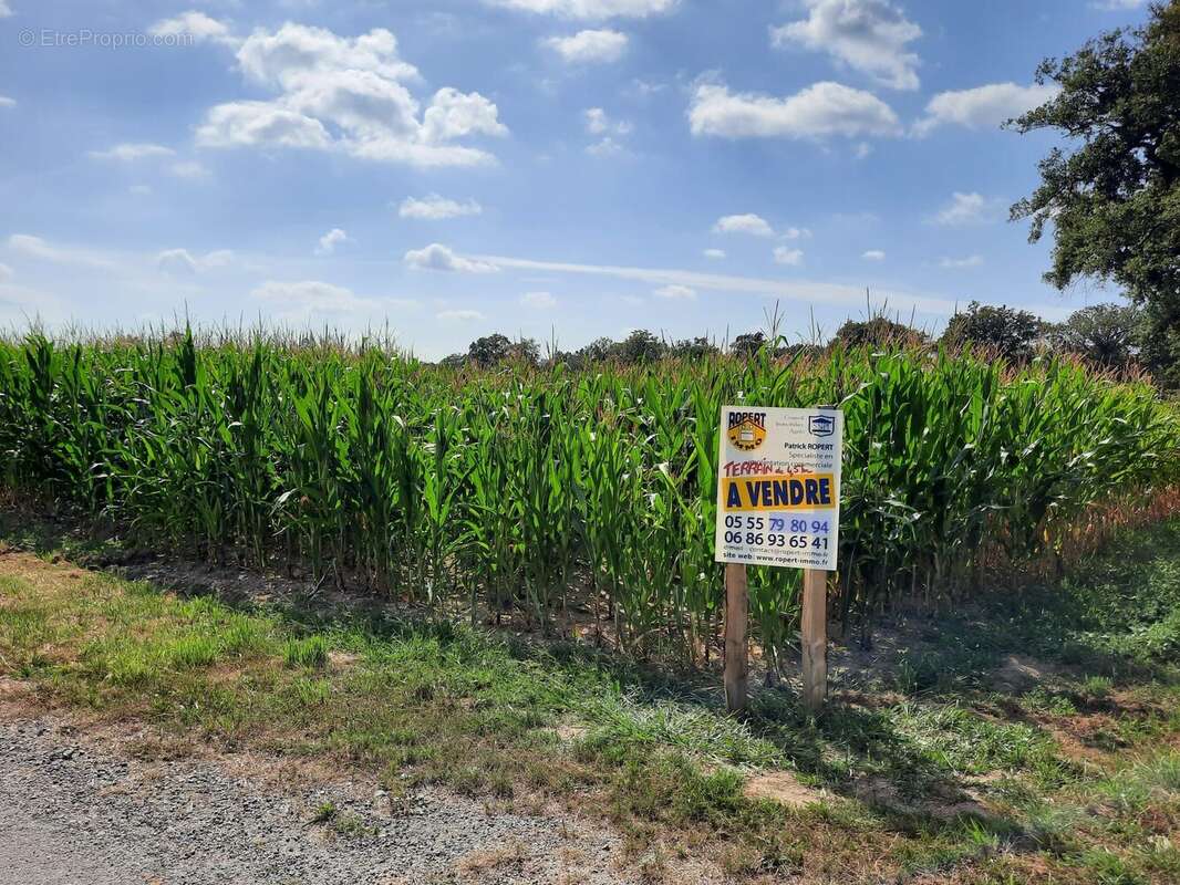 Terrain à PEYRAT-DE-BELLAC