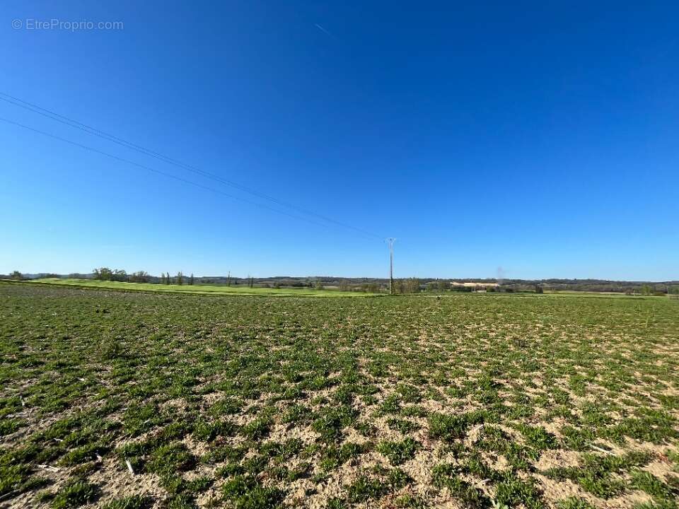 Terrain à LABASTIDE-D'ANJOU
