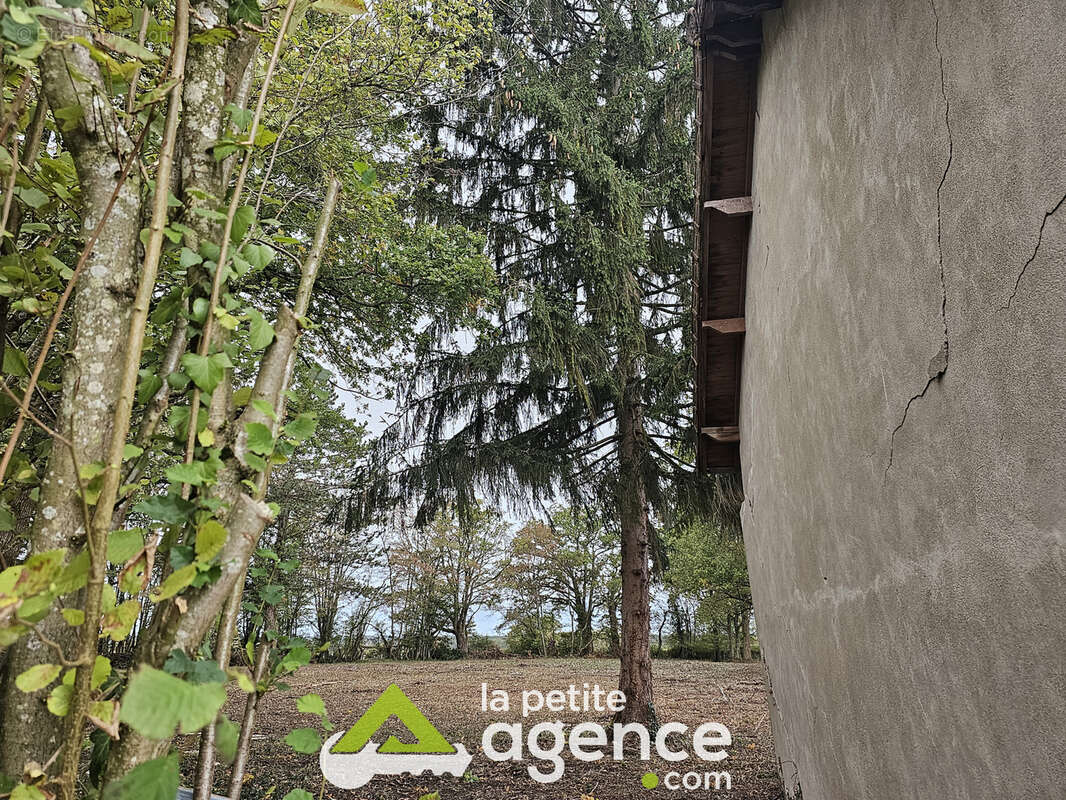 Terrain à THAUMIERS