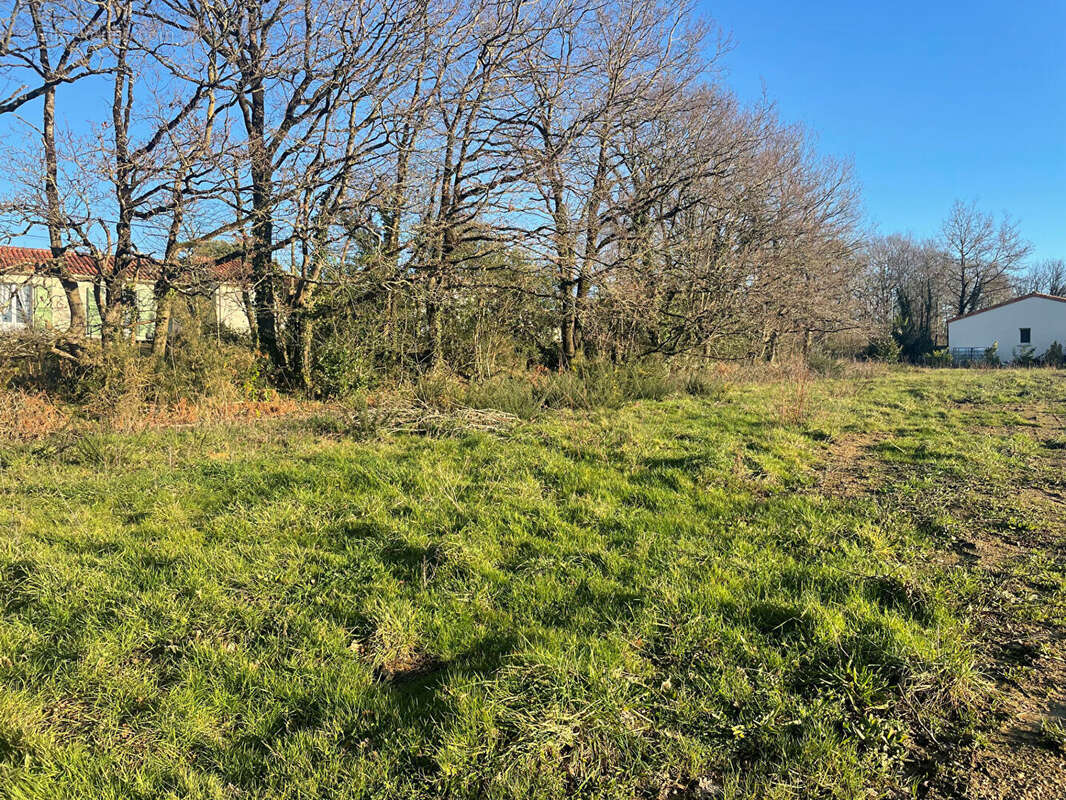 Terrain à MARTINET