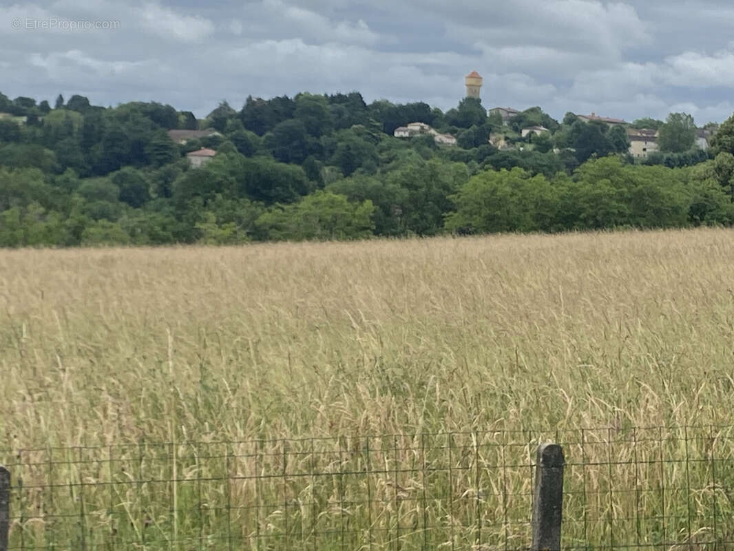 Magnifique Villa dans le Périgord Noir - photo 2