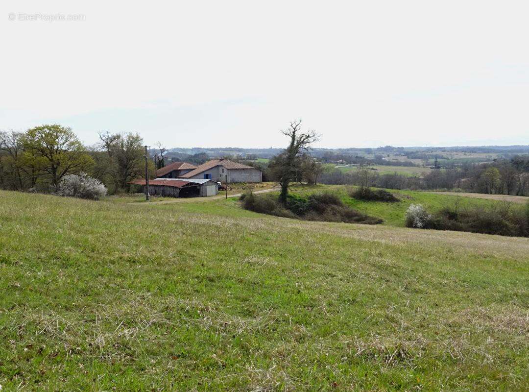 Landes 40250 Caupenne, propriété 21 ha avec habitation et dépendances - photo 2