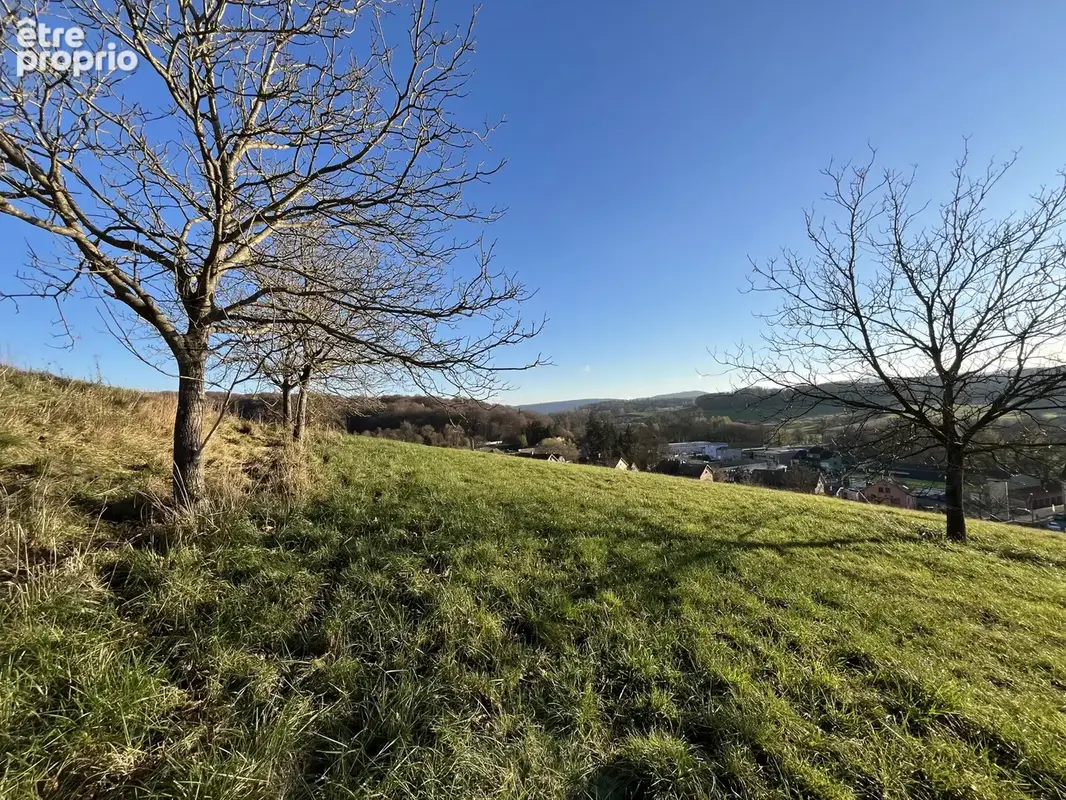 Waldighoffen, magnifique terrain sur les hauteurs - photo 3