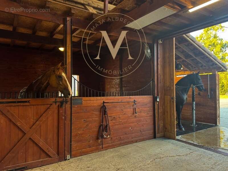 Propriété d’exception où chaque détail a été pensé pour le cheval… et pour ceux qui l’aiment proche de LAPLUME (47) - photo 24