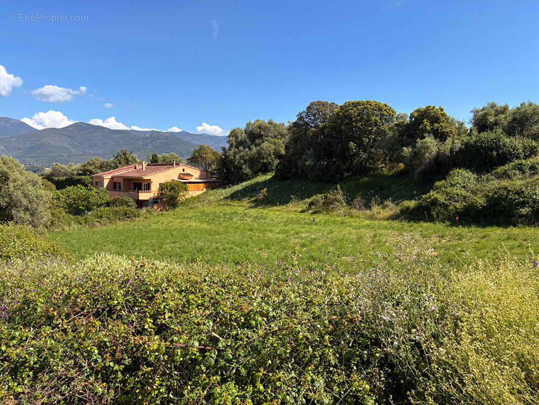 Terrain à BASTELICACCIA