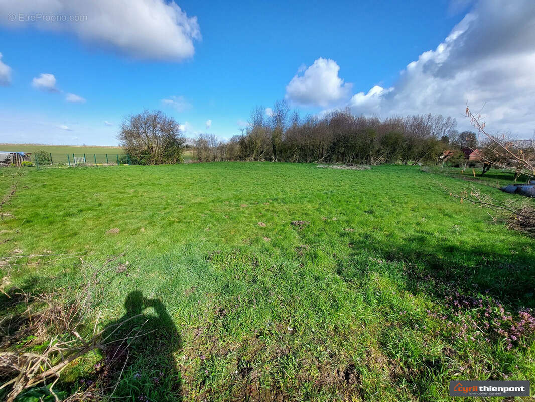 Terrain à CONTEVILLE
