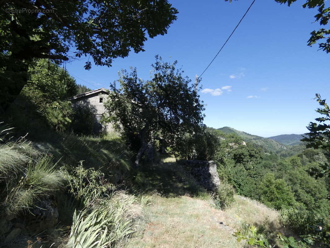 Belle et grande maison en pierre du 19 eme siècle à MEZILHAC (07 - photo 4