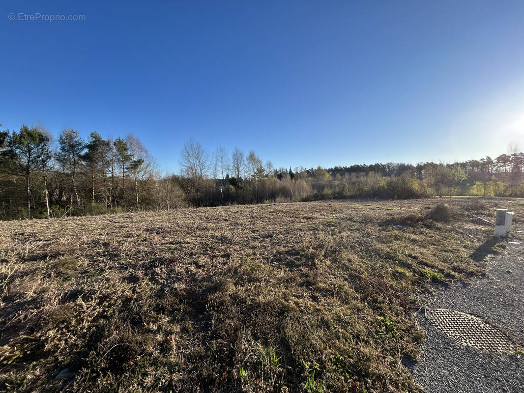 Terrain à SAINT-PRIEST-DE-GIMEL