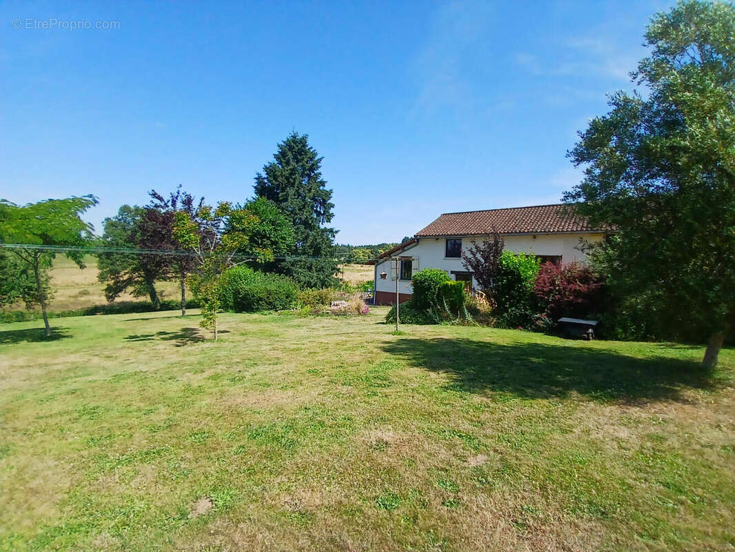 The garden - Maison à SAINT-SAUD-LACOUSSIERE