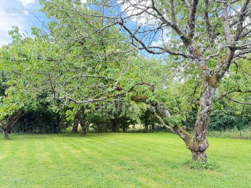 Maison familiale avec grand sous-sol, jardin arboré et vue dégagée – Proche Pont-de-Vaux - photo 8