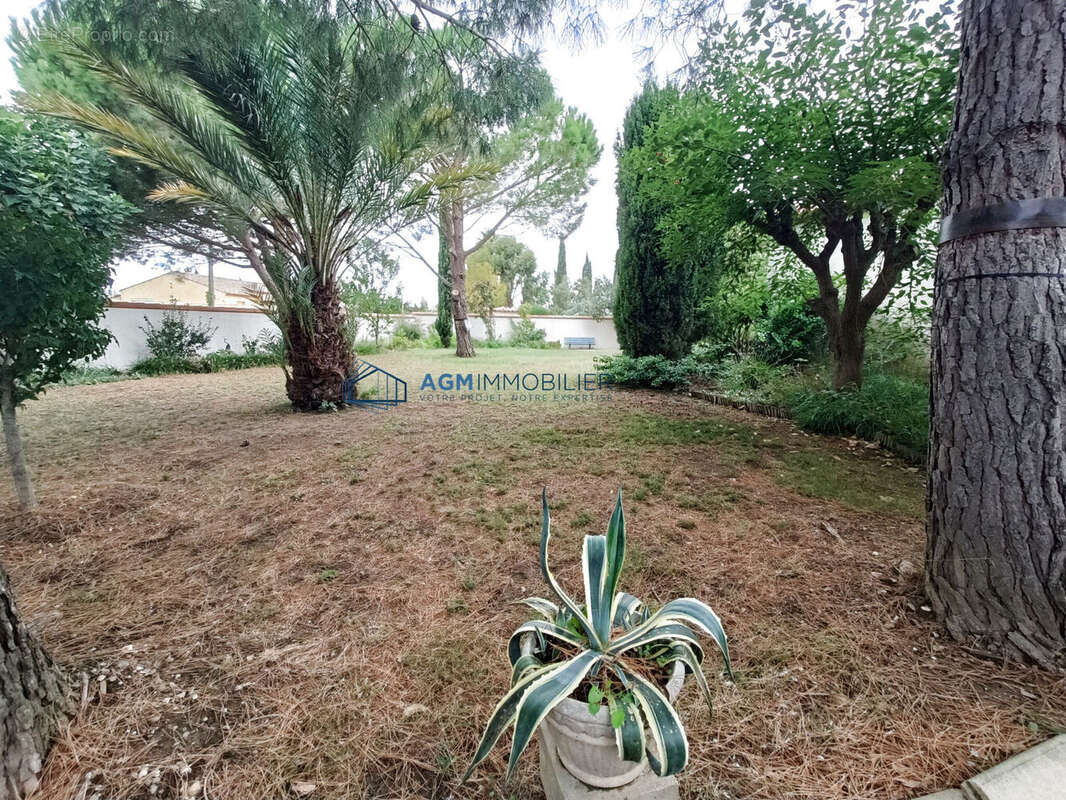 Photo 5 - Maison à SAINT-HIPPOLYTE