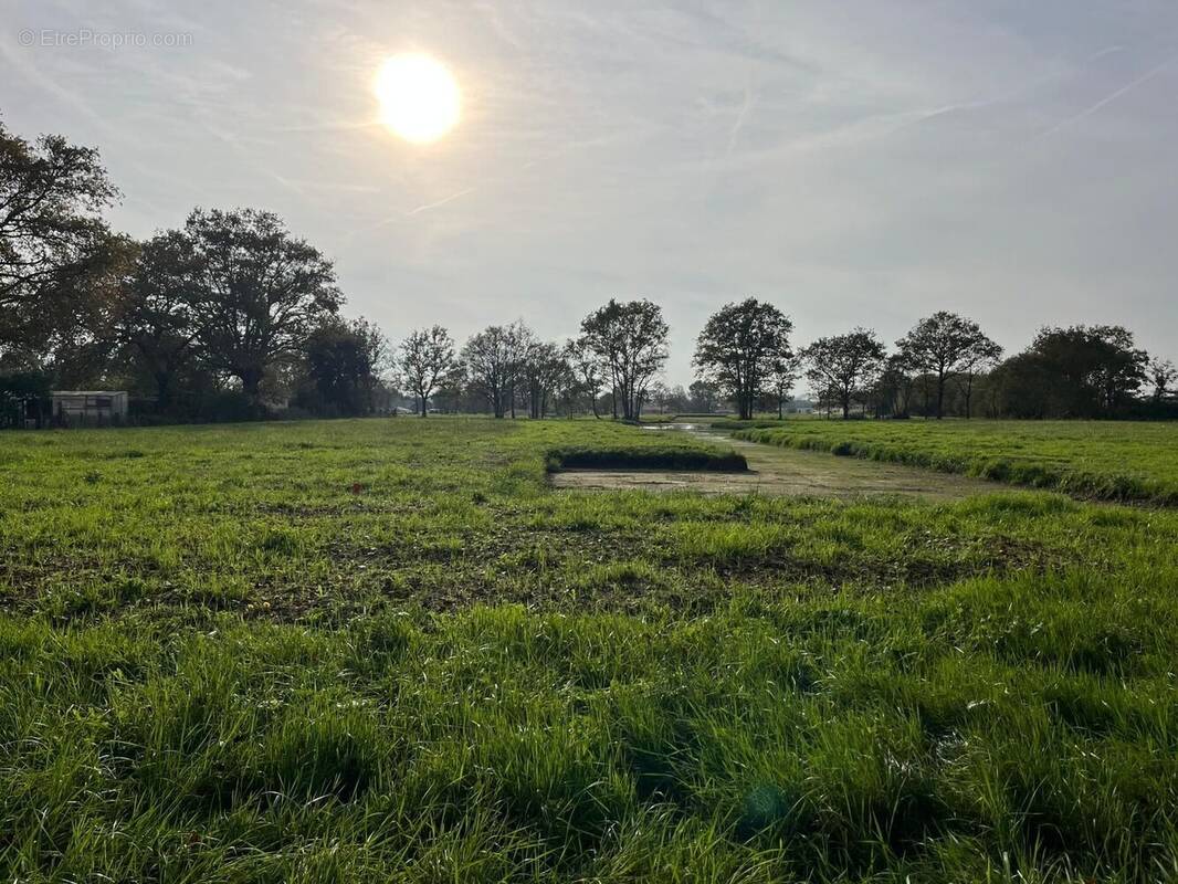 Terrain à PAULX