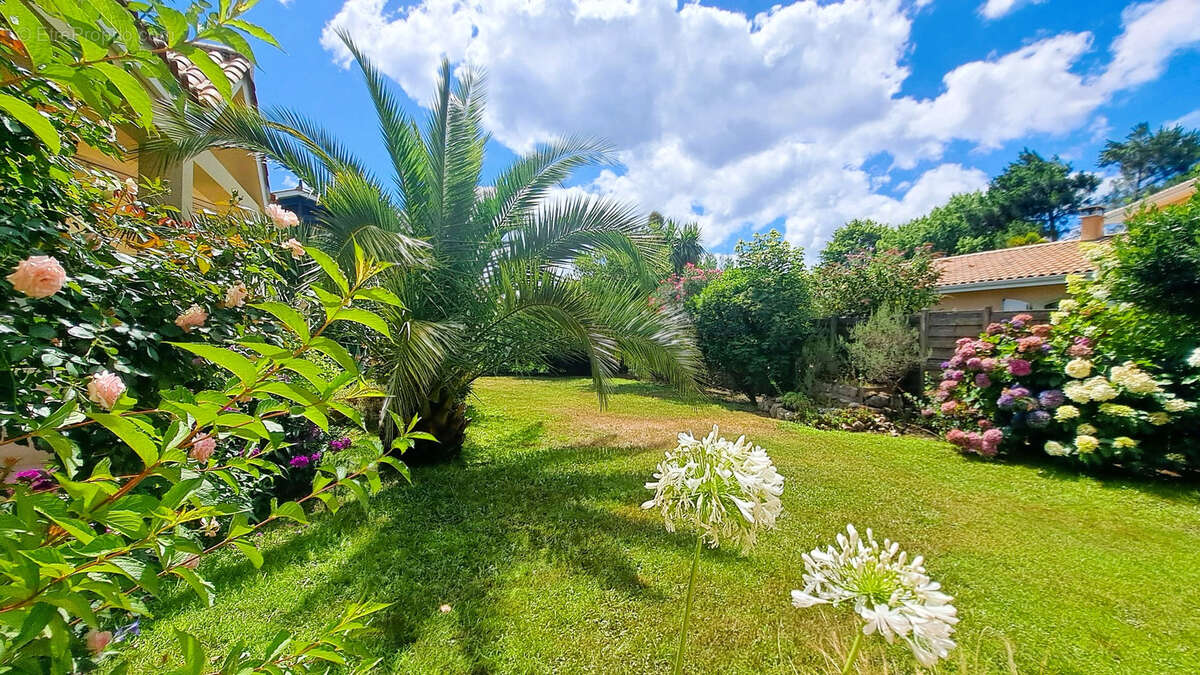 Maison à ANDERNOS-LES-BAINS