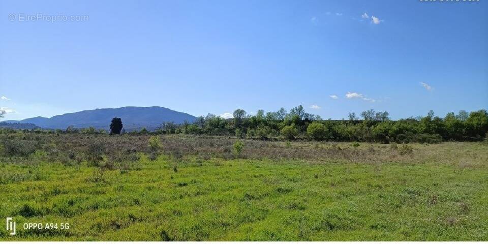 Terrain à FERRALS-LES-CORBIERES
