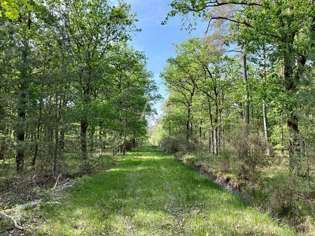 Terrain à ROMORANTIN-LANTHENAY