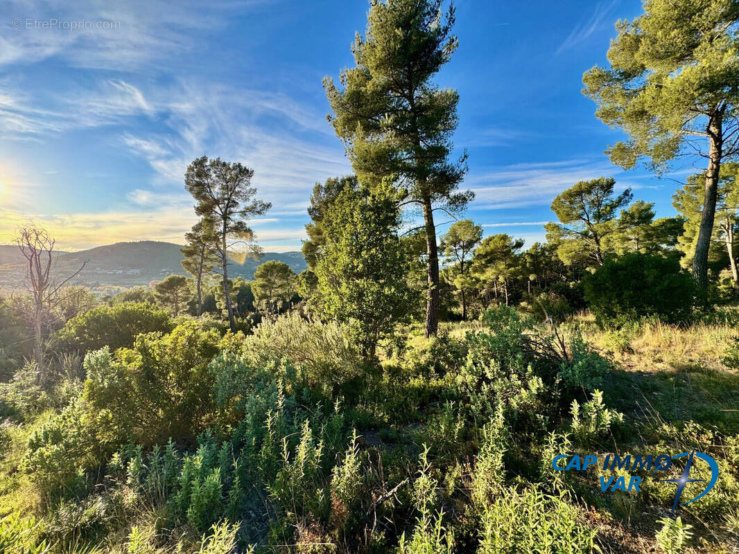 Terrain à EVENOS