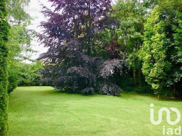 Photo 7 - Maison à AVION