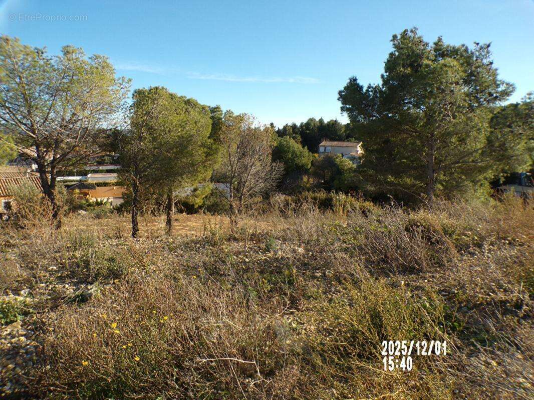 Terrain à NARBONNE