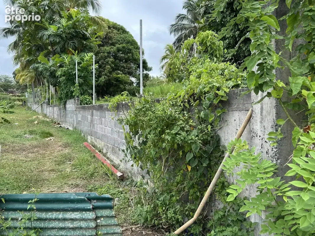 Exclusivité terrain constructible – 2 385 m² – changy, capesterre-belle-eau – guadeloupe - photo 6