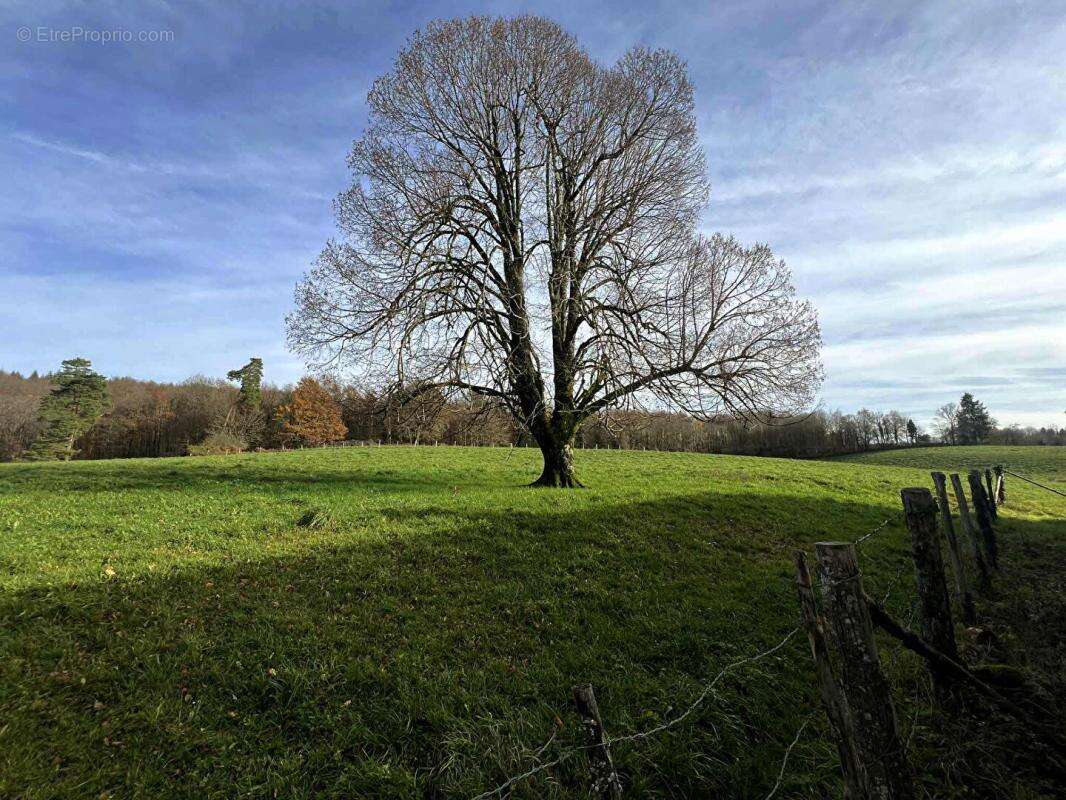 Maison à SAINT-PRIEST-LES-FOUGERES
