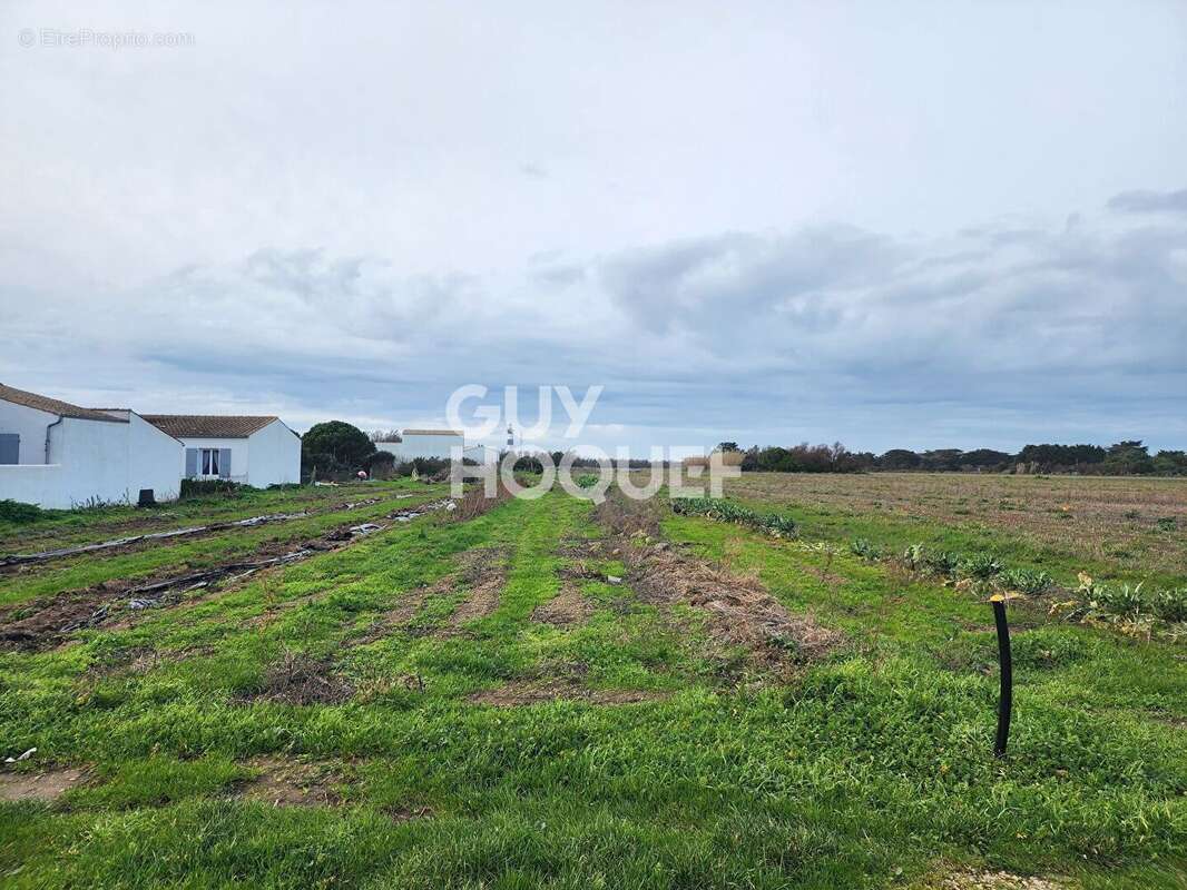 Terrain à SAINT-DENIS-D'OLERON