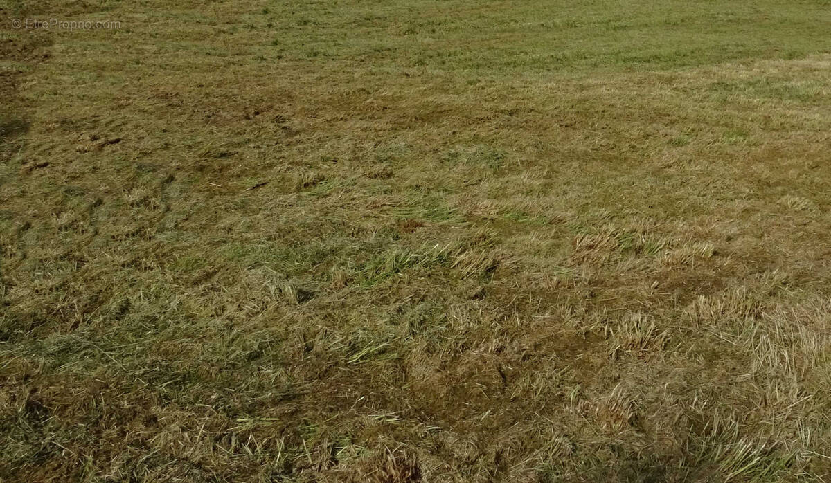 Terrain à VADENCOURT