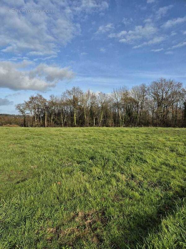 Terrain à LAINES-AUX-BOIS