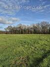 Terrain à LAINES-AUX-BOIS