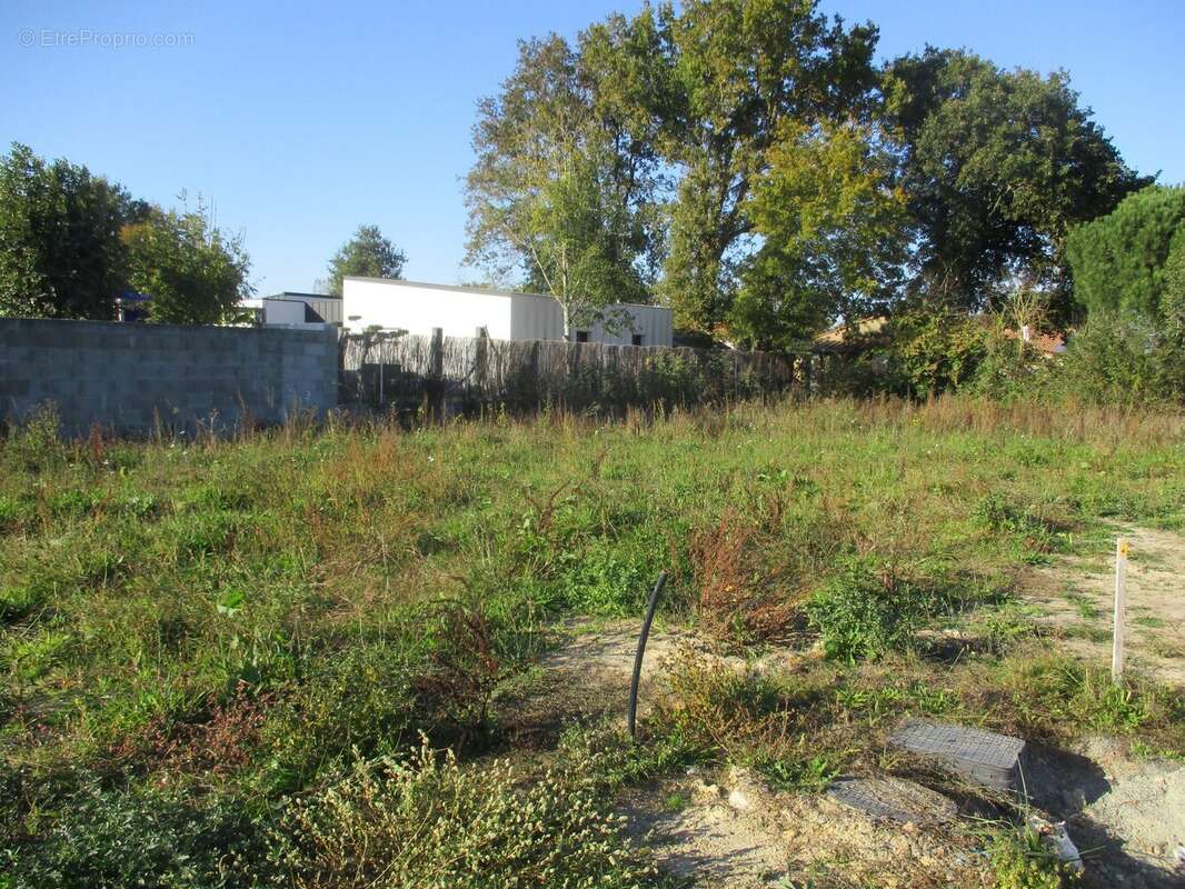 Terrain à SAINTE-FOY