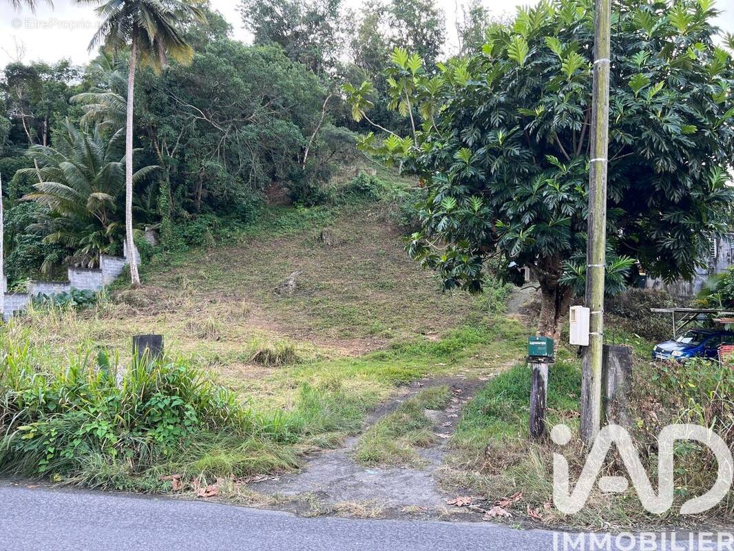 Photo 1 - Terrain à LES ABYMES