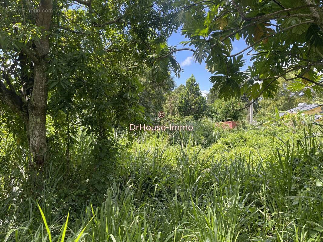 Terrain à VIEUX-HABITANTS
