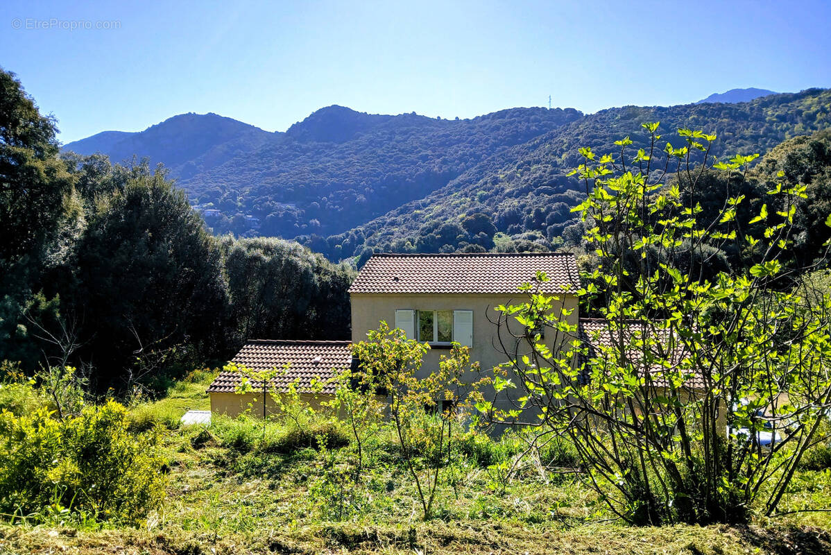 Maison à ECCICA-SUARELLA