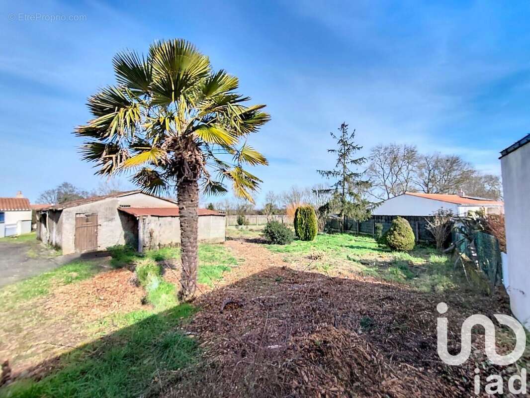 Photo 3 - Terrain à VIEILLEVIGNE