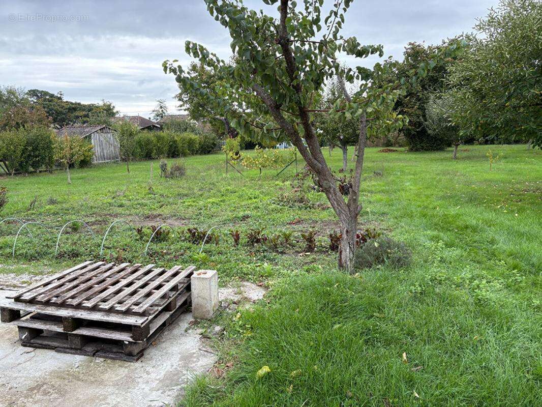 Maison à SAINT-SEURIN-DE-PRATS