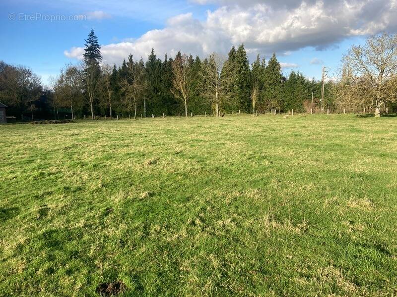 Terrain à LA LANDE-SAINT-LEGER