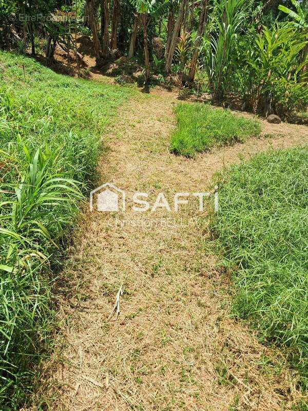 Photo 4 - Terrain à LE LAMENTIN