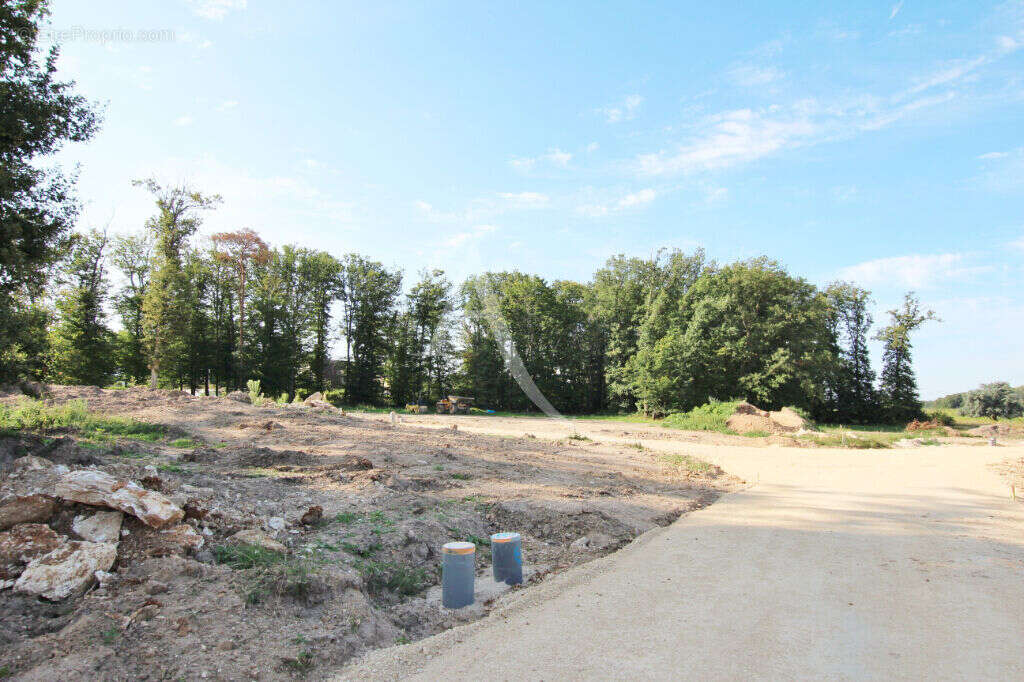 Terrain à CELLETTES