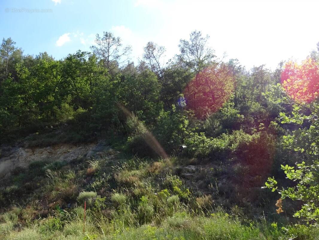 Terrain à VINS-SUR-CARAMY