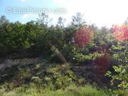 Terrain à VINS-SUR-CARAMY